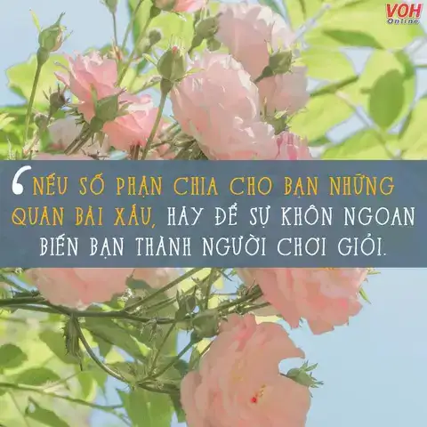 câu nói hay về con đường phía trước câu nói hay về con đường phía trước