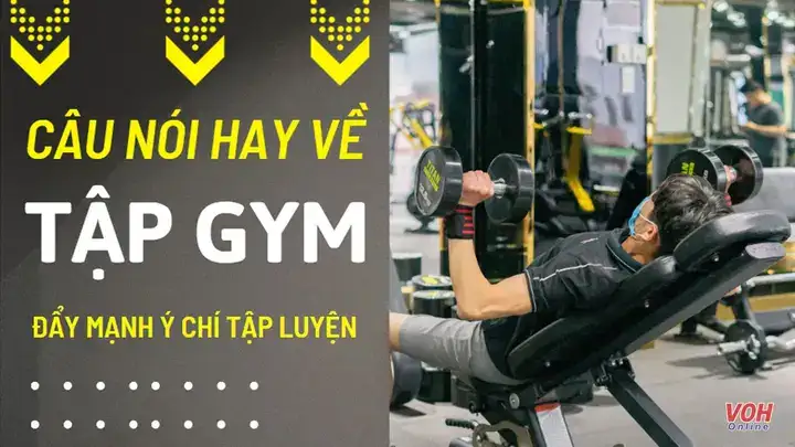 câu nói hay về gym