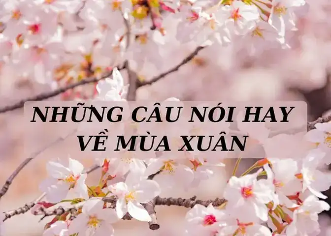 câu nói hay mùa xuân câu nói hay mùa xuân