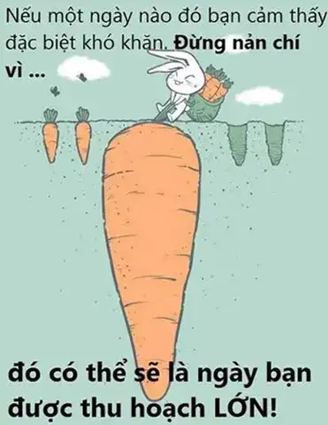 những câu nói khích lệ tinh thần nhân viên những câu nói khích lệ tinh thần nhân viên