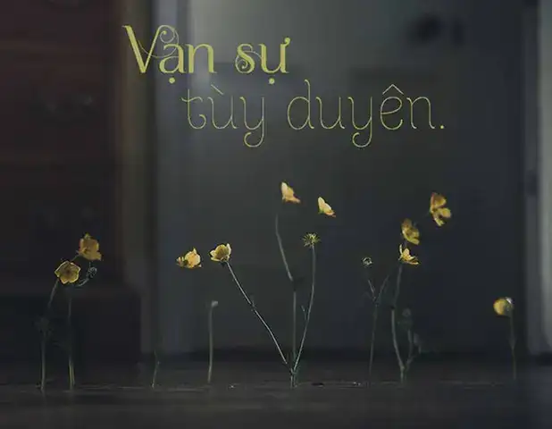 những câu nói hay về vạn sự tùy duyên