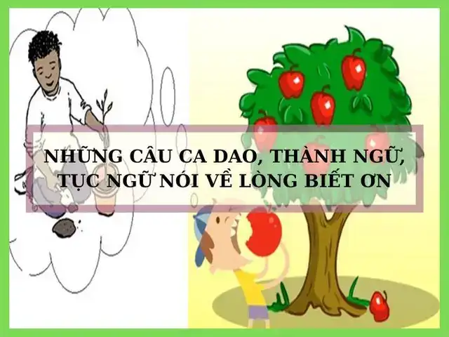 những câu nói hay về uống nước nhớ nguồn những câu nói hay về uống nước nhớ nguồn