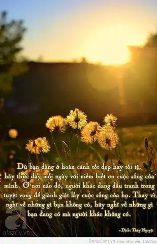 câu nói hay trân trọng những gì mình đang có câu nói hay trân trọng những gì mình đang có