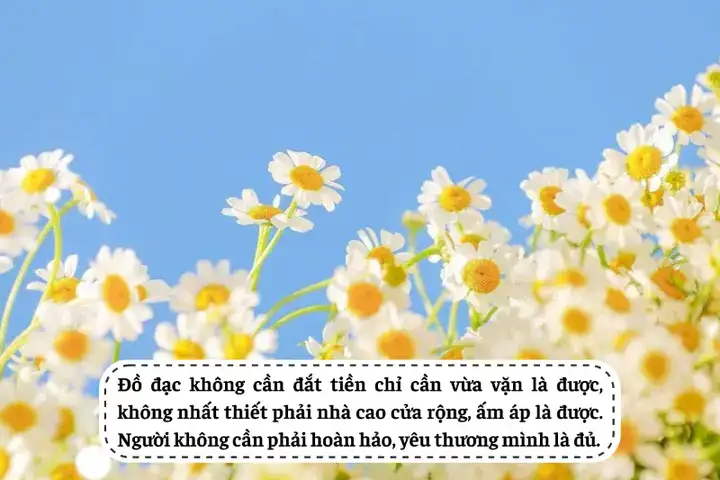 câu nói hay về vợ chồng son