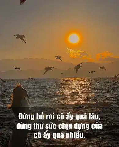 những câu nói hay về tình yêu bị bỏ rơi những câu nói hay về tình yêu bị bỏ rơi