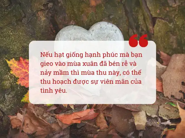 câu nói hay về tình yêu mùa thu câu nói hay về tình yêu mùa thu