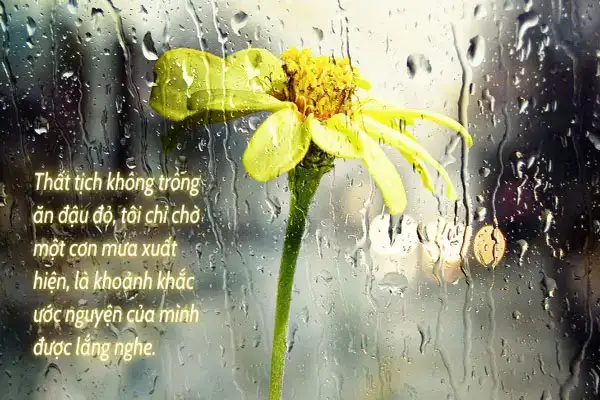 câu nói hay ngày thất tịch câu nói hay ngày thất tịch