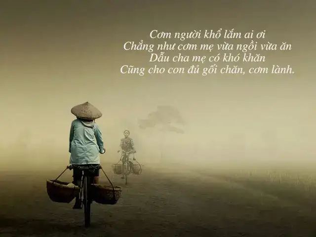câu nói hay cha dành cho con
