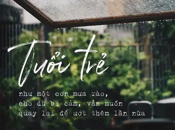 những câu nói hay về tuổi trẻ và đam mê những câu nói hay về tuổi trẻ và đam mê