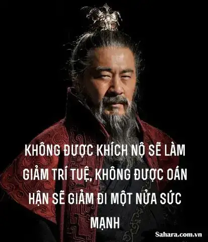 những câu nói hay về trí tuệ những câu nói hay về trí tuệ