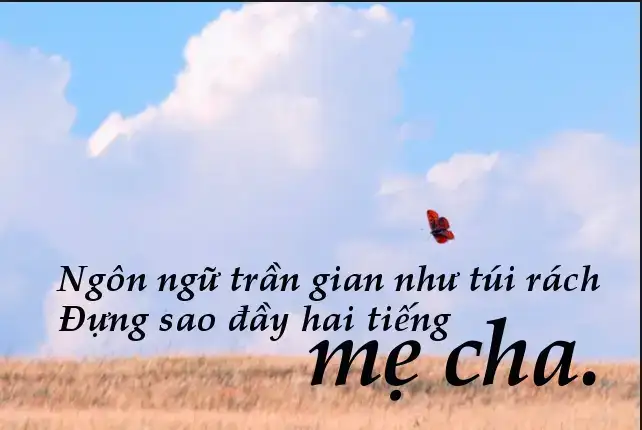 câu nói hay về công ơn cha mẹ câu nói hay về công ơn cha mẹ