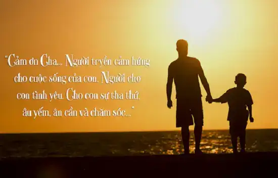 câu nói hay về công ơn cha mẹ câu nói hay về công ơn cha mẹ