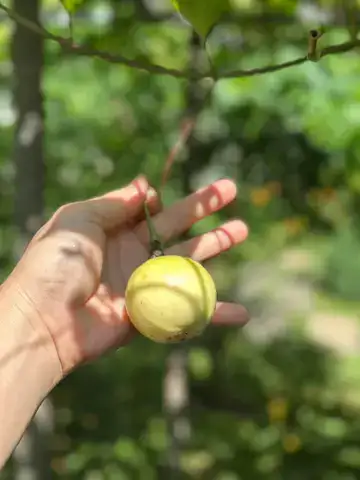 những câu nói hay trong người đi bán nắng những câu nói hay trong người đi bán nắng