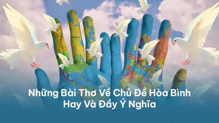 câu nói hay về hòa bình câu nói hay về hòa bình