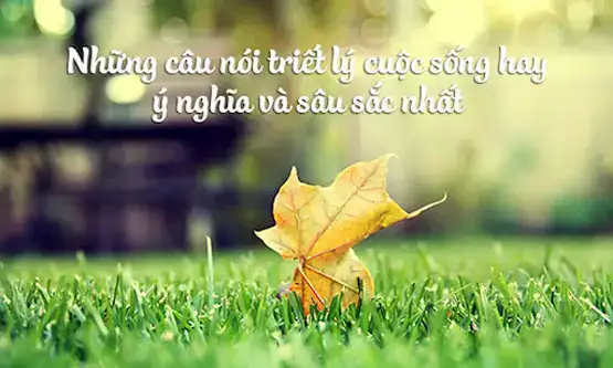 những câu nói hay về thông điệp cuộc sống