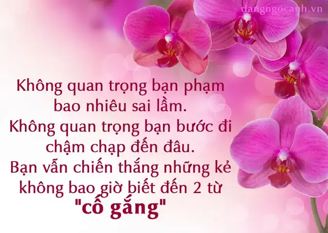 những câu nói khiến người khác phải khóc