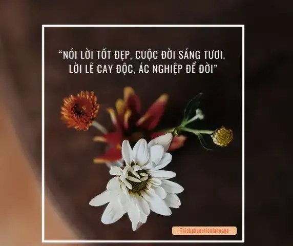 những câu nói làm tổn thương người khác