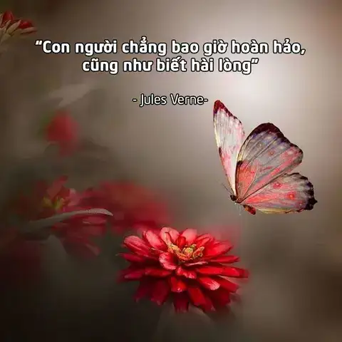 những câu nói hay về sự hoàn hảo những câu nói hay về sự hoàn hảo