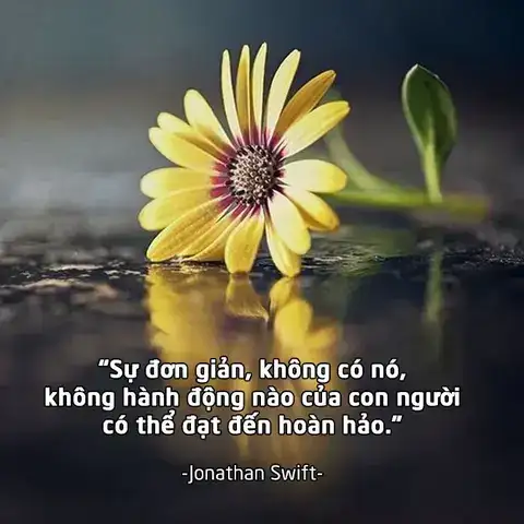 những câu nói hay về sự hoàn hảo những câu nói hay về sự hoàn hảo