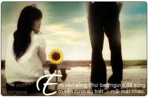 những câu nói cuối cùng khi chia tay những câu nói cuối cùng khi chia tay