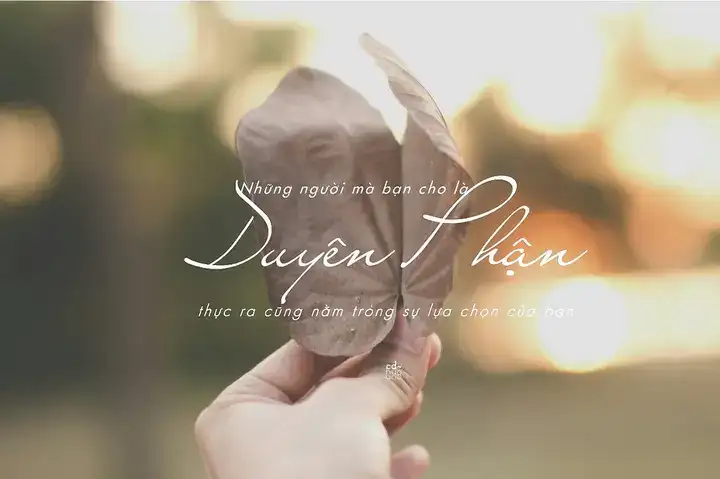 những câu nói hay về sự duyên phận những câu nói hay về sự duyên phận