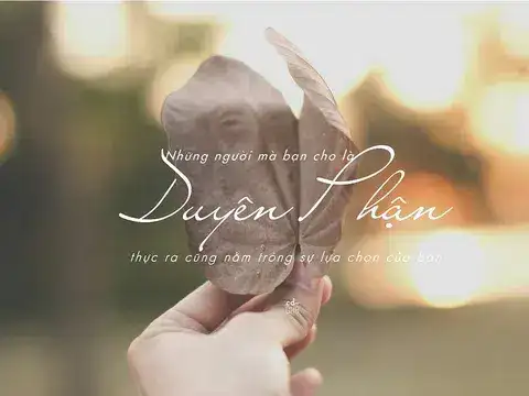 những câu nói hay về sự duyên phận những câu nói hay về sự duyên phận
