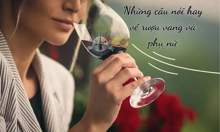 những câu nói hay về say những câu nói hay về say