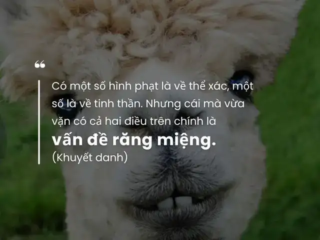 những câu nói hay về răng