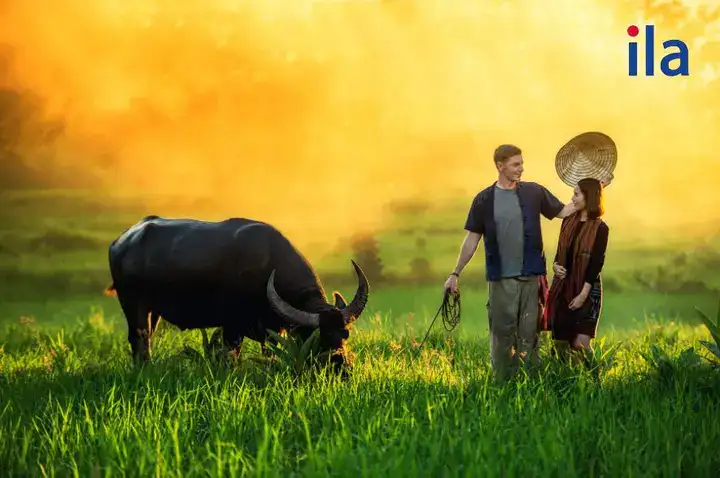 những câu nói hay về quê hương bằng tiếng anh những câu nói hay về quê hương bằng tiếng anh