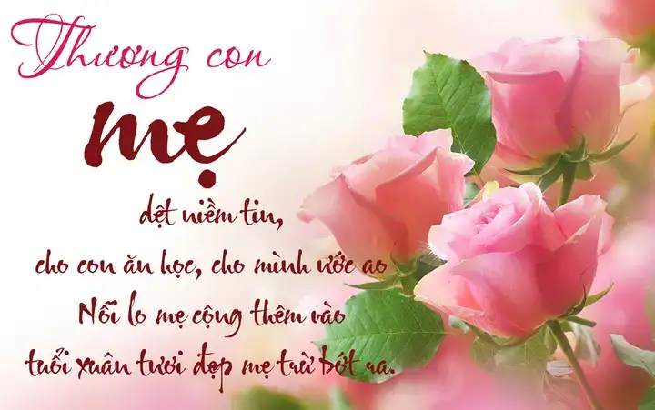 câu nói chúc mừng ngày của mẹ câu nói chúc mừng ngày của mẹ