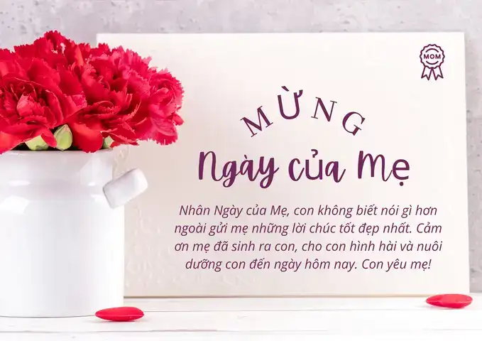 câu nói chúc mừng ngày của mẹ câu nói chúc mừng ngày của mẹ