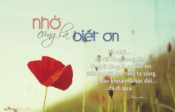 câu nói về sự vô ơn bạc nghĩa câu nói về sự vô ơn bạc nghĩa