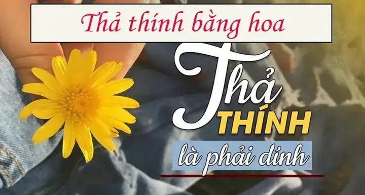 câu nói về hoa hay