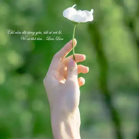 những câu nói hay về nước mắt đàn ông