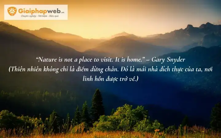 những câu nói hay về núi rừng