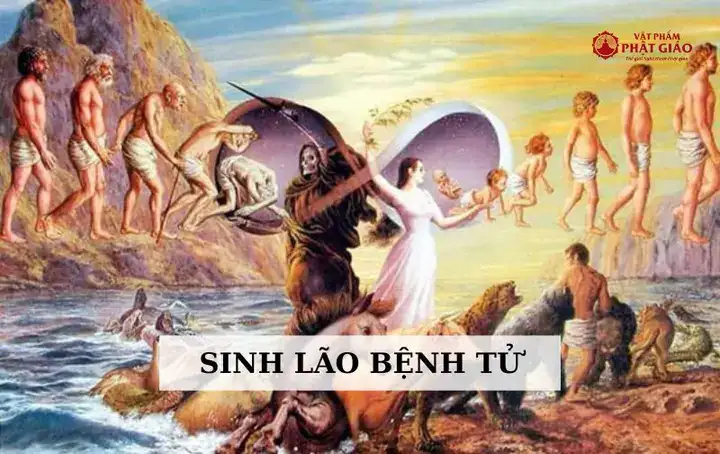 câu nói sinh lão bệnh tử câu nói sinh lão bệnh tử