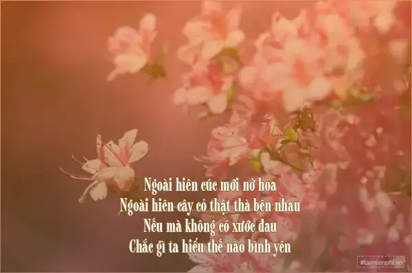 câu nói hài hước về mùa xuân câu nói hài hước về mùa xuân