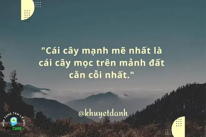 những câu nói hay về ngọn lửa những câu nói hay về ngọn lửa