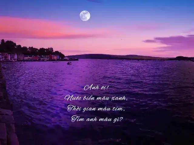 câu nói hay về màu tím câu nói hay về màu tím