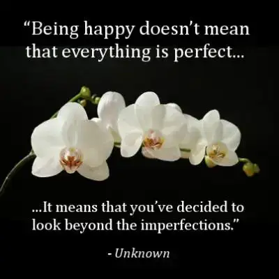 câu nói hay về hoa lan hồ điệp câu nói hay về hoa lan hồ điệp