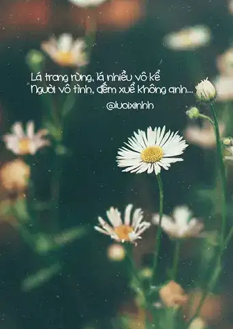 câu nói hay về cuộc sống xa nhà câu nói hay về cuộc sống xa nhà