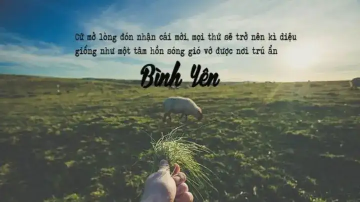 câu nói hay về bình an câu nói hay về bình an