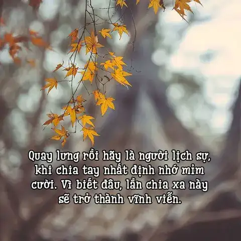 câu nói về sự chia ly câu nói về sự chia ly