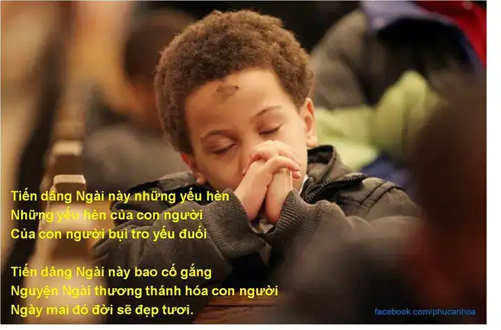 những câu nói hay về mùa chay những câu nói hay về mùa chay