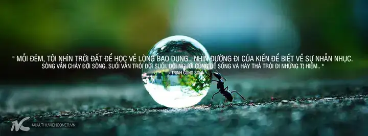 ảnh bìa câu nói hay ảnh bìa câu nói hay