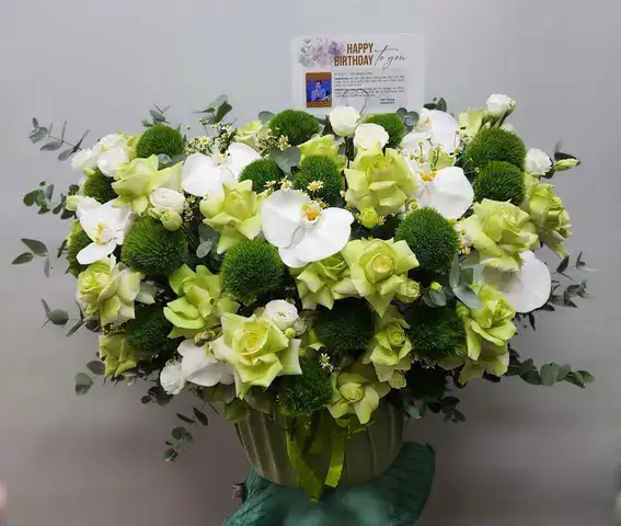 những câu nói hay về màu xanh lá cây những câu nói hay về màu xanh lá cây