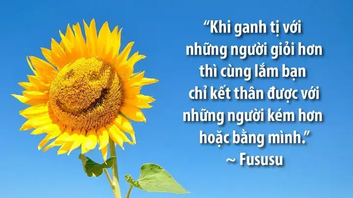 những câu nói về sự ganh tị những câu nói về sự ganh tị