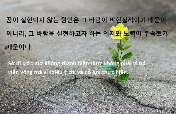 những câu nói về ước mơ bằng tiếng hàn những câu nói về ước mơ bằng tiếng hàn