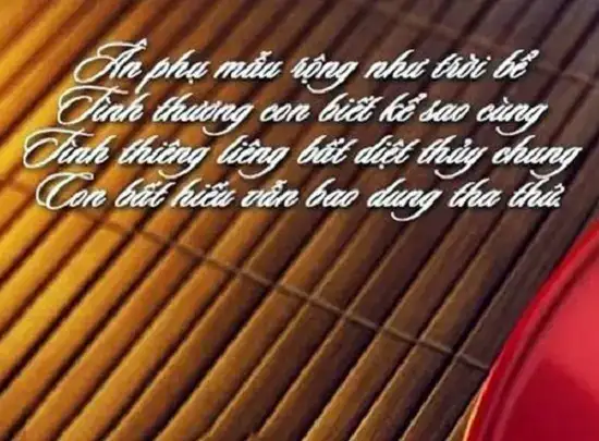 những câu nói hay về lòng biết ơn cha mẹ những câu nói hay về lòng biết ơn cha mẹ