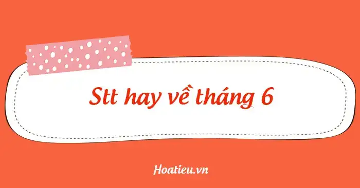 những câu nói hay về tháng 6 những câu nói hay về tháng 6